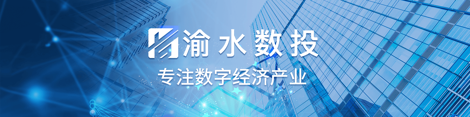 新余市渝水区数字经济投资发展有限公司