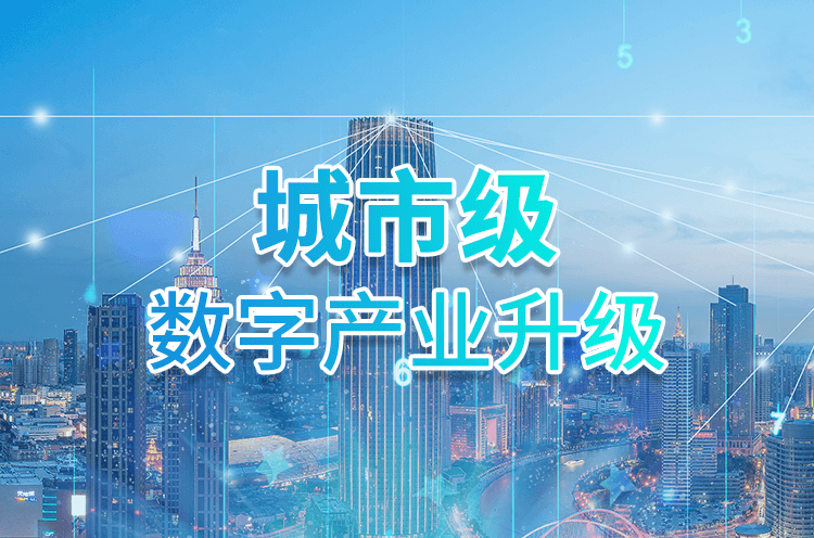 业务领域