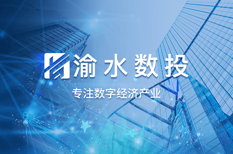 新余市渝水区数字经济投资发展有限公司